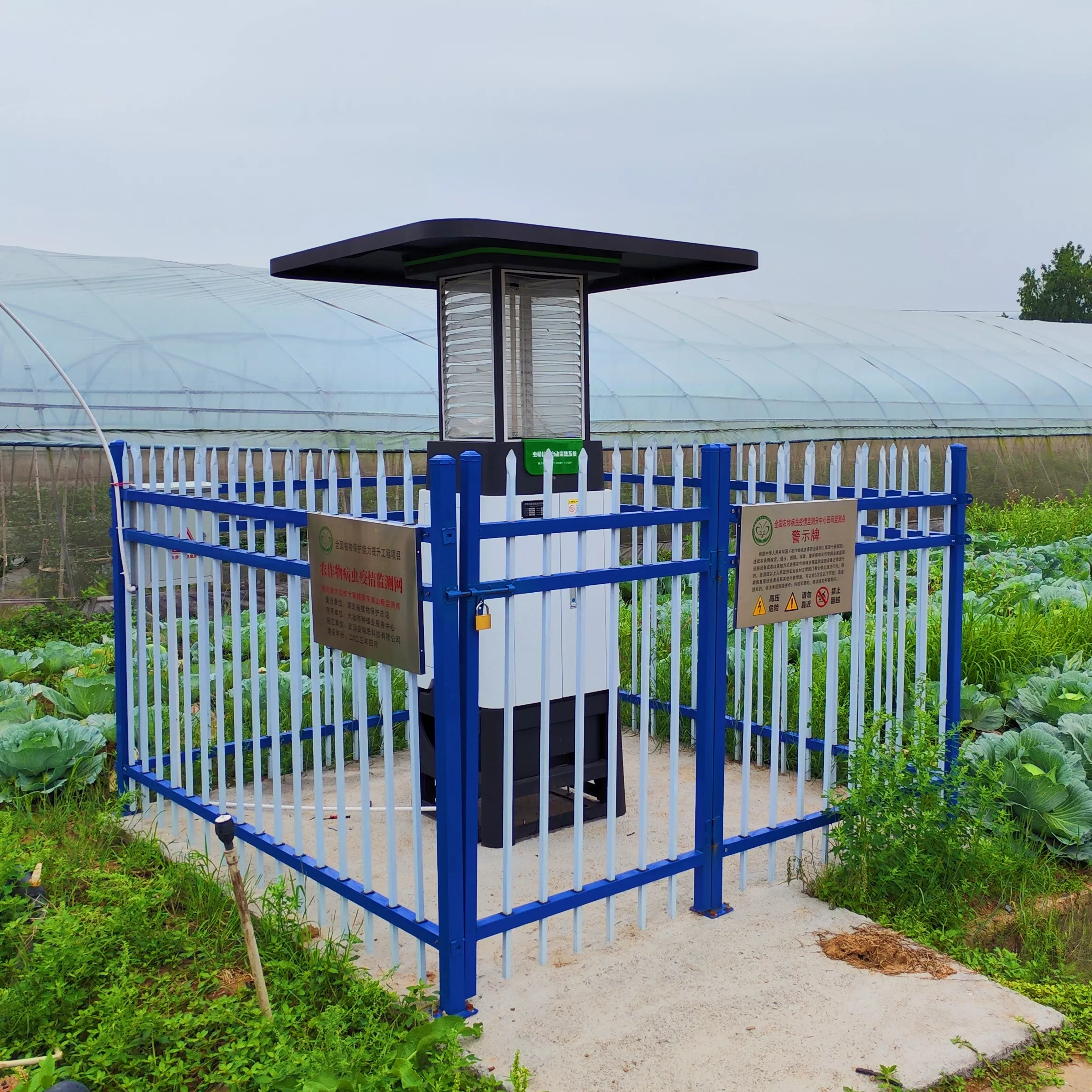 蔬菜虫情监测